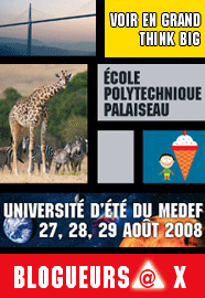 Voir en grand - Think big : Université d'été du MEDEF 2008