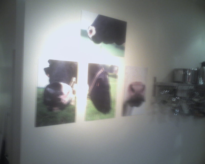 Nouvelle expo photos à la maison 
