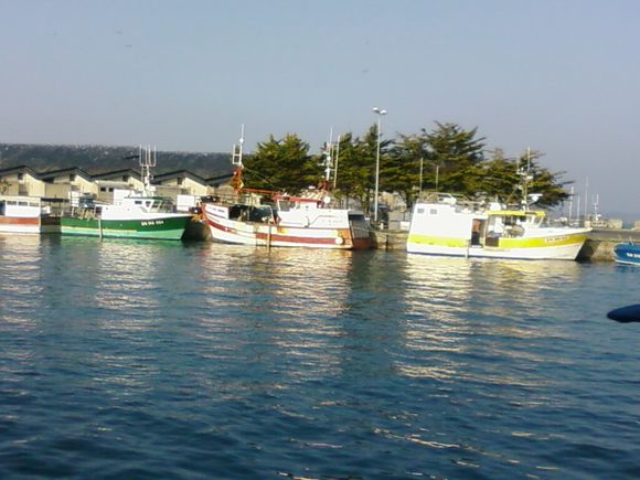 PIC_0889.jpg